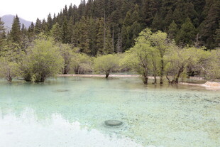清澈山林间的幽美湖水