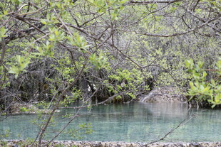 山林间的清澈幽潭