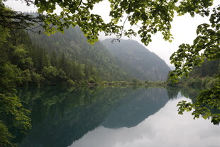 静谧山林中的清澈湖水