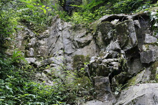 山间嶙峋岩石与繁茂绿植