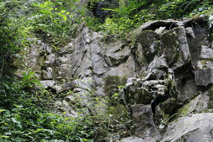 山间嶙峋岩石与繁茂植被
