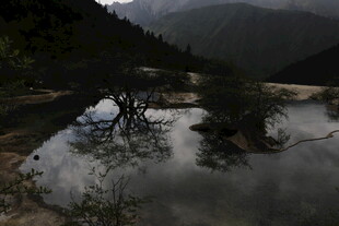 山间静谧水域与枯树景象