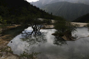 山间静谧水域枯树倒影