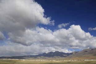 蓝天白云下的广袤原野
