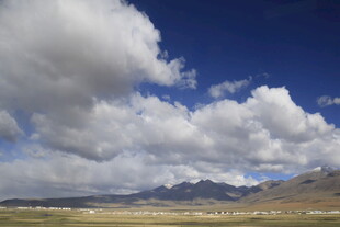 蓝天白云下的广袤原野