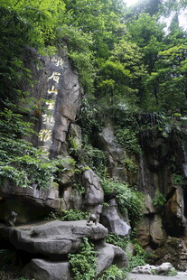 山林间的嶙峋怪石与绿植