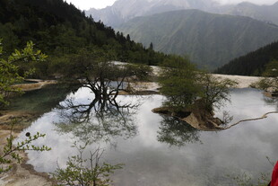 山间静谧湖水与枯树