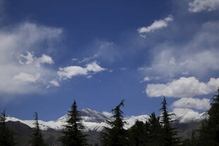 蓝天白云下的山林景致