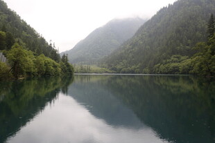 山间静谧湖景 绿意盎然