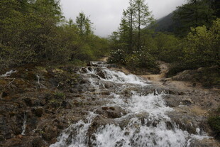 山间溪流潺潺流淌