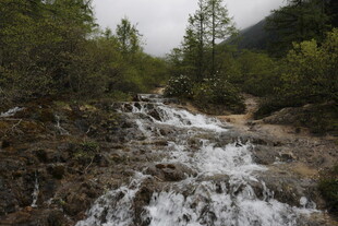 山间溪流潺潺流淌