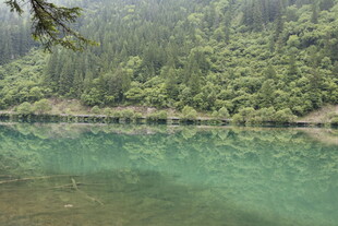 翠绿山林环绕的清澈湖水