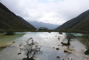 山间湖泊枯树独特景致