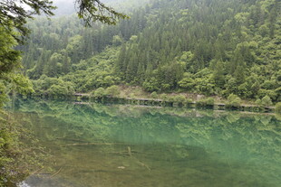 翠绿山林间的清澈湖泊