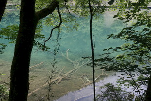 森林中的清澈幽蓝湖水