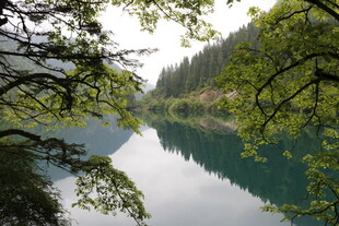 湖畔绿荫下的静谧山水景
