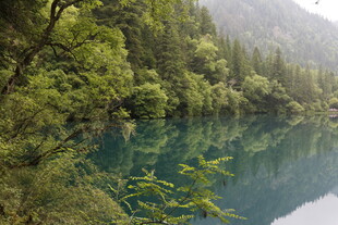 清幽山林间的碧绿湖水