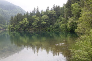 宁静山林中的清澈湖水