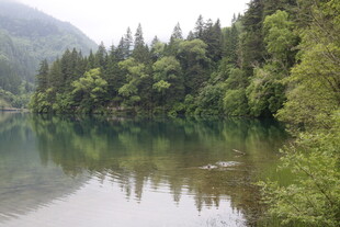 宁静山林间的清澈湖水