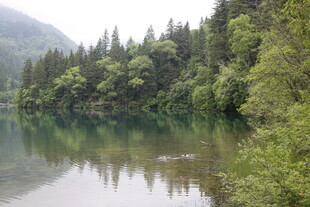 宁静山林旁的清澈湖水