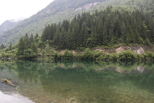 山间清湖 林木倒映美景