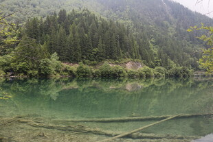 山间清澈湖水与葱郁林木