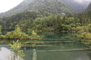 山间幽湖 绿意盎然的美景