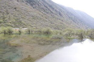 山间清潭 静美自然之景