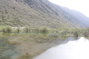 山间清澈湖水与葱郁景致