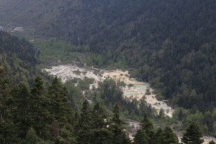 山间河谷森林景观