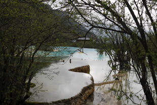林间蓝白相间的静谧水域