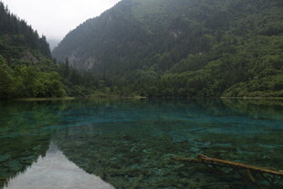 九寨沟碧绿清澈的湖水