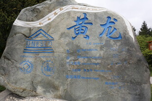 刻有黄龙字样的景观石