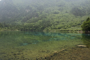 山间清湖 绿意环绕之景