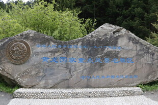 刻字巨石 周边绿植环绕