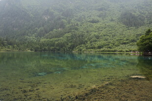山间幽湖 绿意环绕的静谧之景