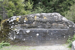 古老石棺置于自然环境中