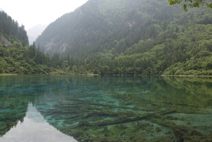 九寨沟清澈碧绿的湖水