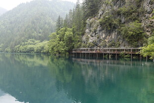 青山绿水间的宁静栈道