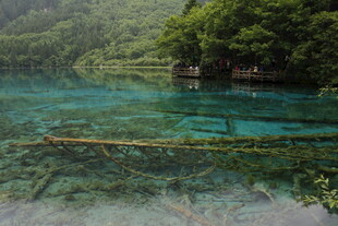 清澈幽美的山间碧绿湖水