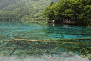 清澈碧绿的山间幽美湖水