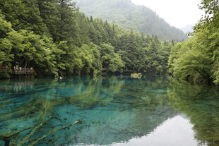 梦幻清澈的山林幽潭