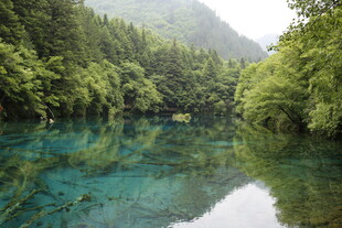 青山绿水间的澄澈幽潭