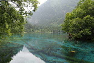 青山绿水间的澄澈溪流
