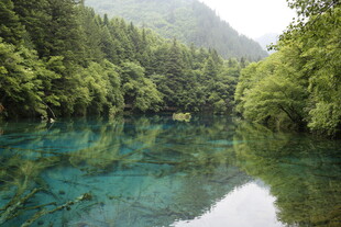 青山绿水间的澄澈幽潭