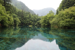青山绿水间的澄澈幽潭