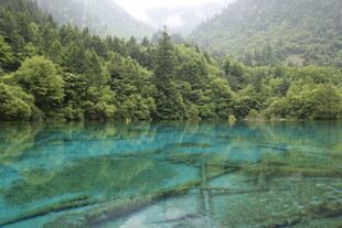 梦幻蓝绿的山林幽潭
