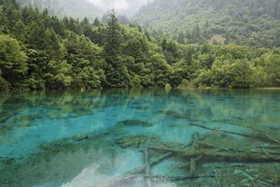 梦幻蓝湖伴葱郁山林