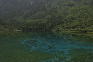 翠绿山林间的幽蓝湖水