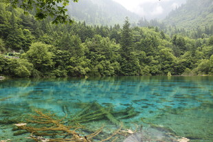 梦幻清澈的山林幽蓝湖水